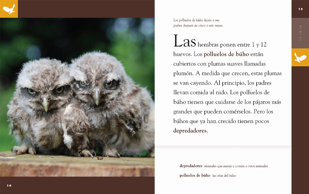 Planeta animal - New Edition Series