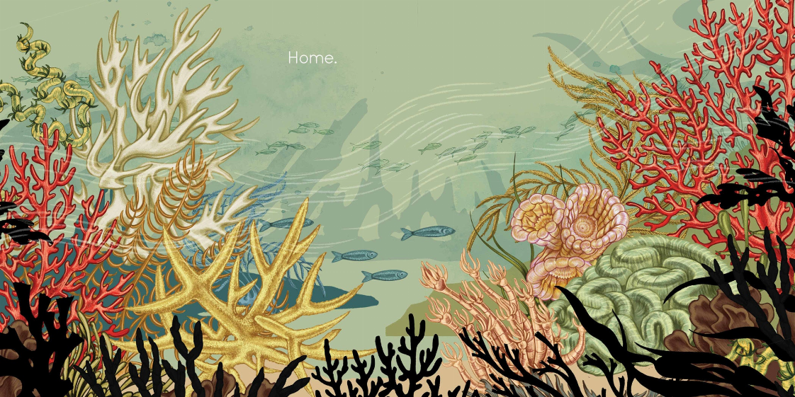 Coral