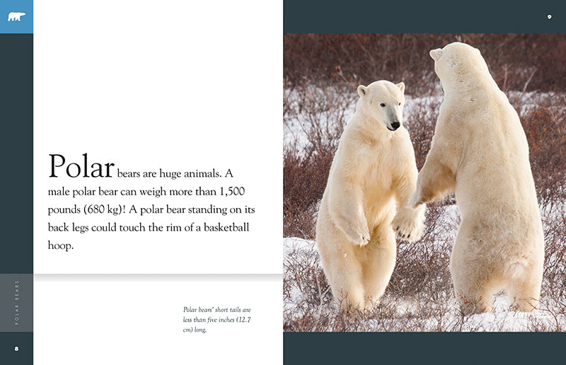 Amazing Animals - New Edition Series