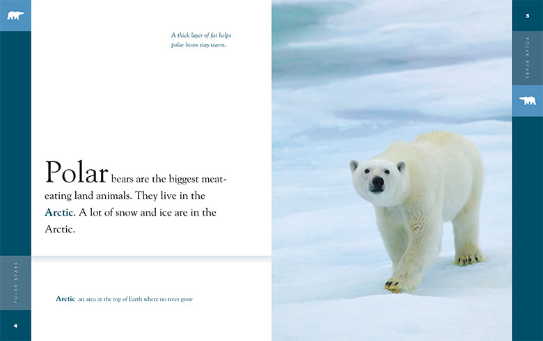 Amazing Animals - New Edition Series