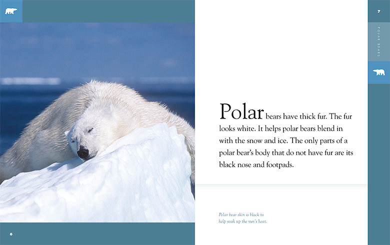 Amazing Animals - New Edition Series