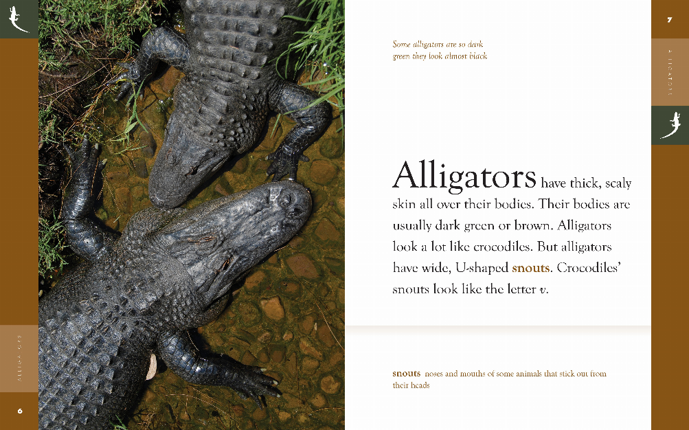 Amazing Animals - Classic Edition Series