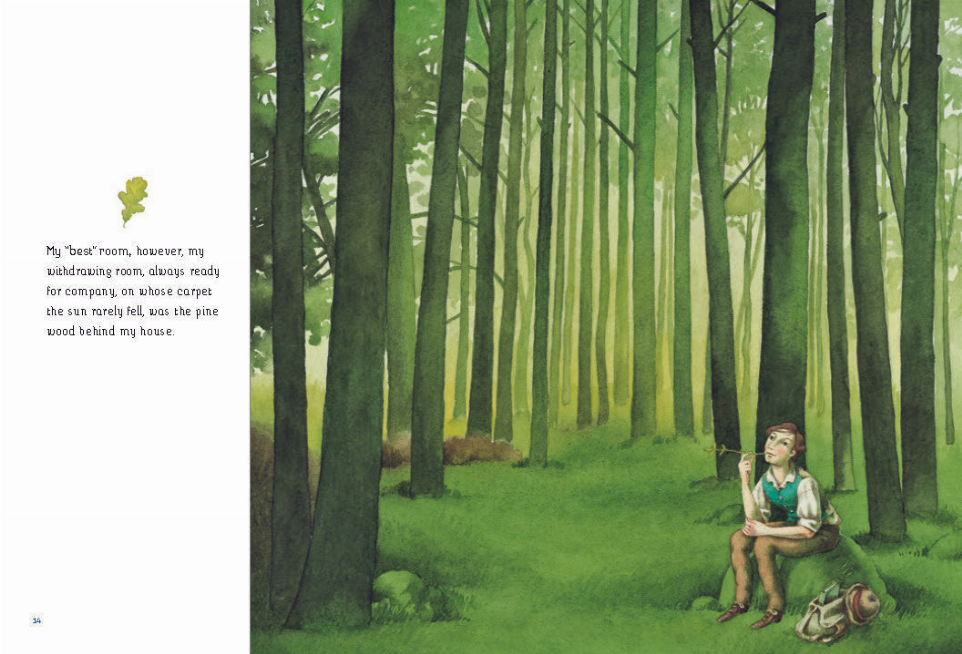 A Year in the Woods