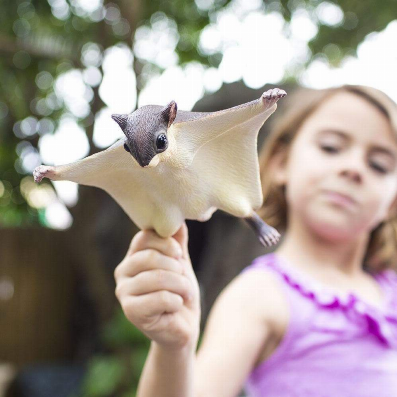 Flying Squirrel