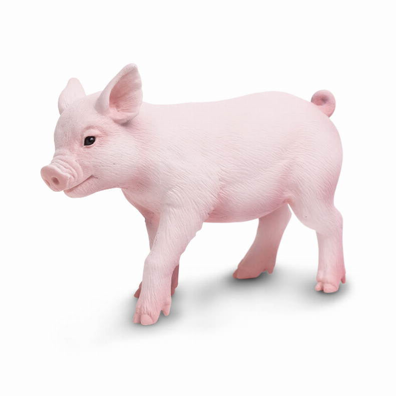 Piglet