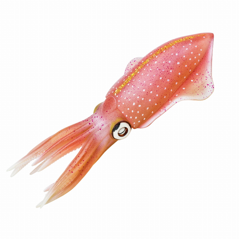 Reef Squid