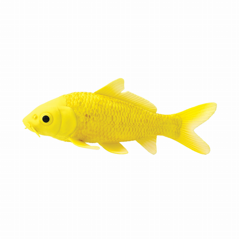 Koi Fish