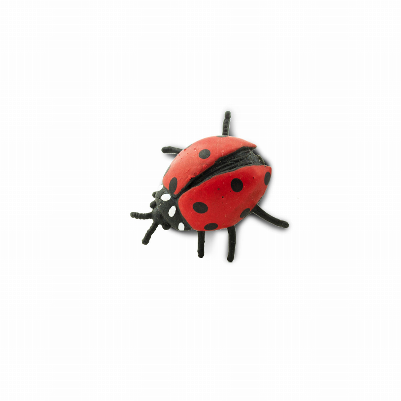 Ladybugs
