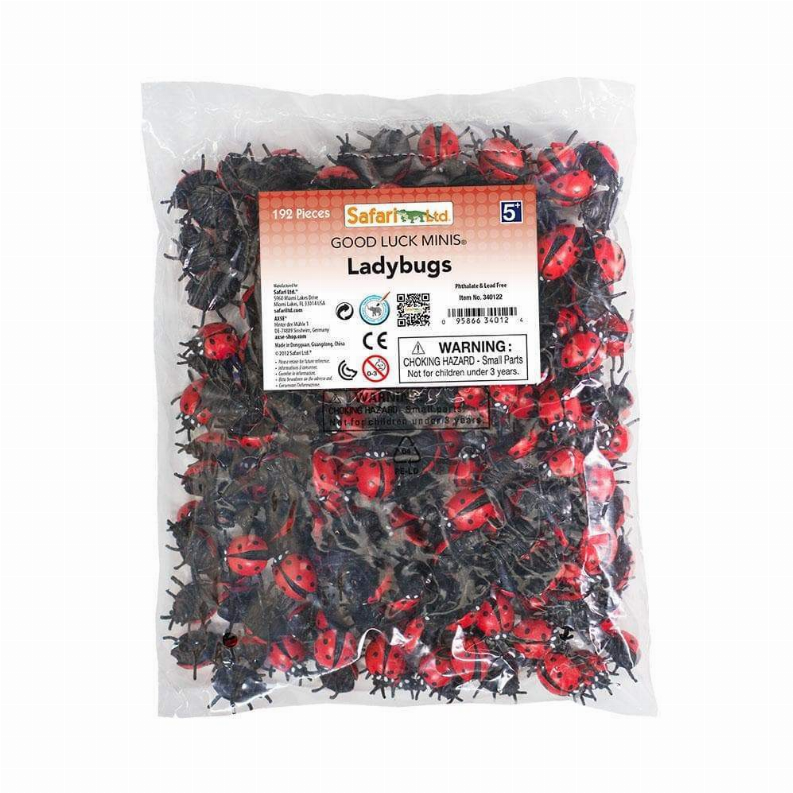 Ladybugs