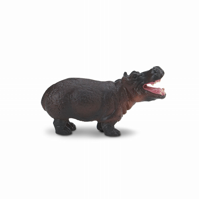 Hippos