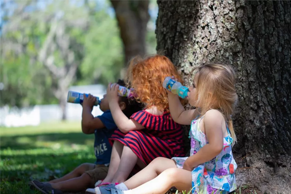 Refresh-A-Kid Universal Bottle Adapter, fits Most Water Bottles - TEXAS Sippy Top