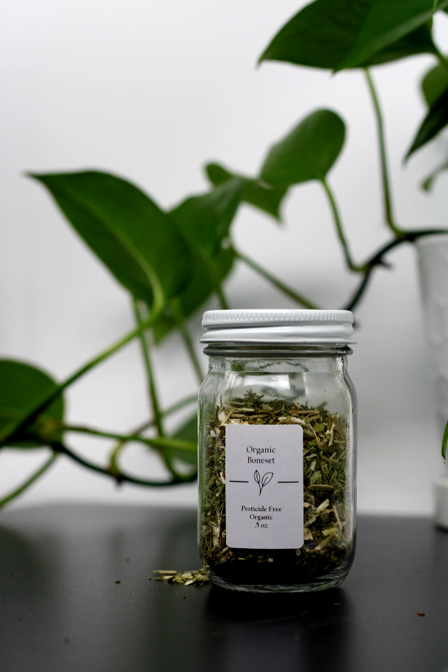 Organic Boneset