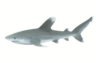 Oceanic Whitetip Shark Figurine